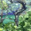 Sea Of Green - Image 3